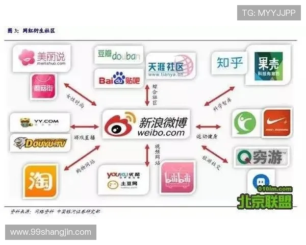 全面解析安博体育官网平台的优势与特色